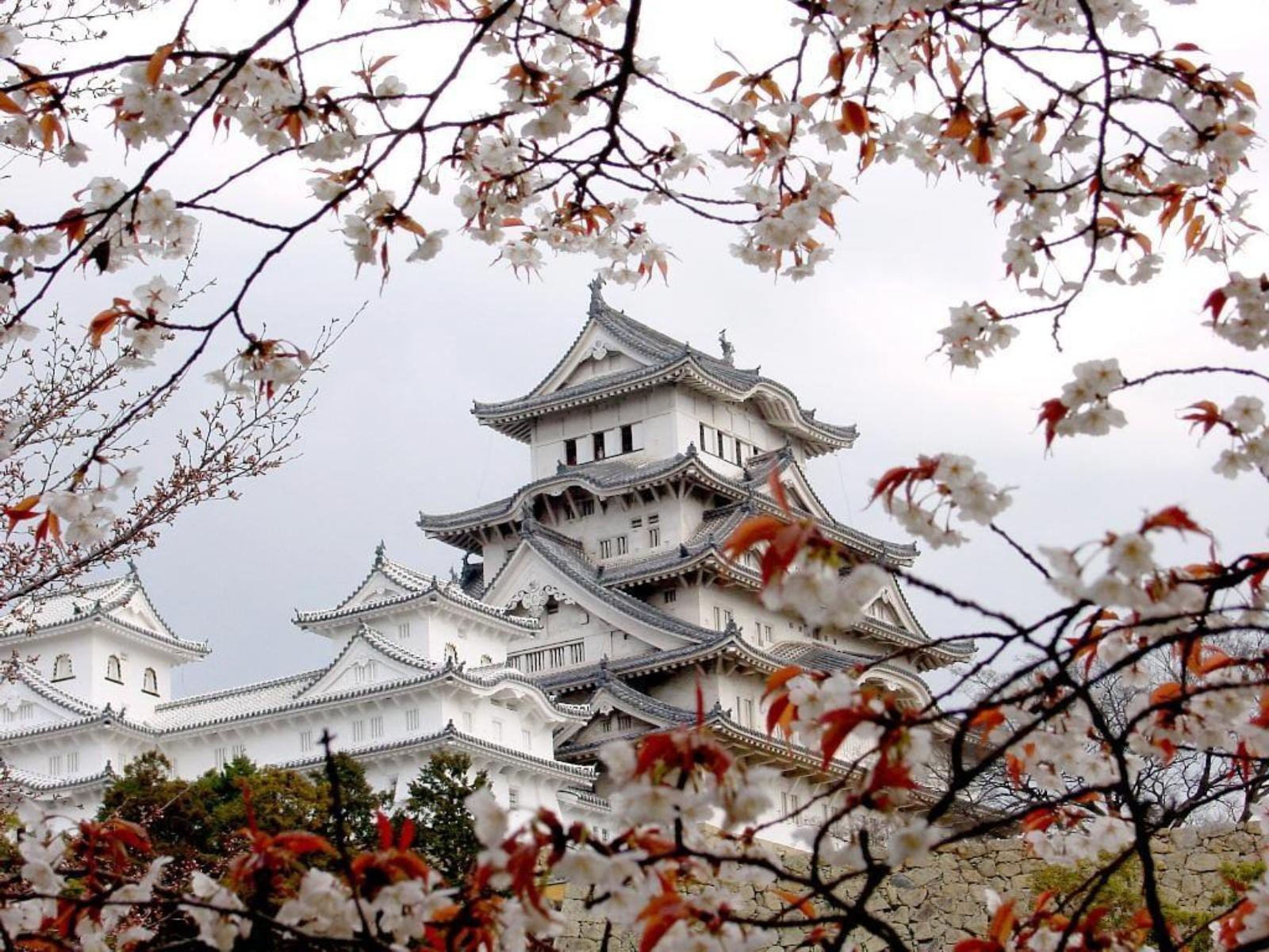 Замок белой Цапли Химедзи Сакура